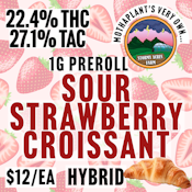 Stormy Acres Farm | Sour Strawberry Croissant | 1G