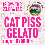 Stormy Acre Farms | Cat Piss x Gelato