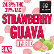 Treetop Alliance | Strawberry Guava