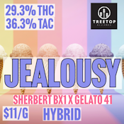 Treetop Alliance | Jealousy