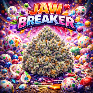 TVC - Jawbreaker