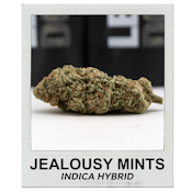 Jealousy Mints