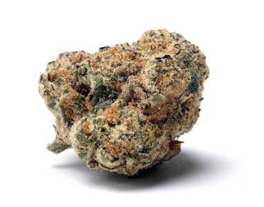 DAZE OFF - Daze Off | Purple Z | 3.5g