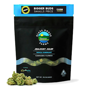 Next Day - R*ntz x Jealousy (7g)