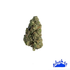 Plush Co. - Jealousy (Pre-Packed 1G) Adult-Use