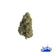 Jealousy (Pre-Packed Half Ounce) Adult-Use