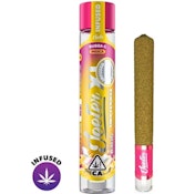 Bubba G XL Infused PreRoll - 2g - JTR