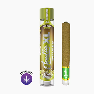 JEETER - Jeeter - 2g XL Infused Preroll - Kiwi Kush