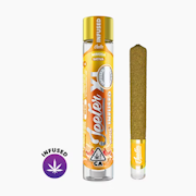 Jeeter - 2g XL Infused Preroll - Mimosa