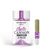 JEETER - Infused Prerolls - Neptune Kush - Live Rosin Cannons - 3PK - 1.5G
