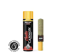 Jeeter | Sweet Gold | Infused Baby Cannons Pre-Roll | 1.3g