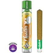 Pina Colada XL Infused PreRoll - 2g - JTR