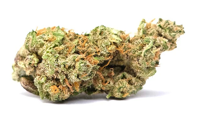 Humboldt Growers Network - Jelly Donutz 3.5g Main Image