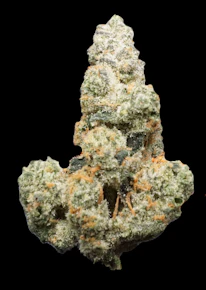 Jelly Breath Bulk Flower