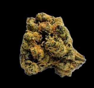 PRIMO DANKS - Jelly Drip Bud