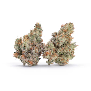 Harbor Harvest - Harbor Harvest | Jelly Rancher | 3.5g