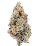 TVC | Jelly Drip | Flower