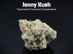 Jenny Kush- 2.83 grams