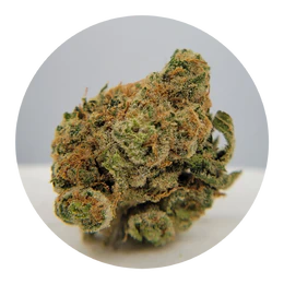 The Hempire Collective - THC - Jesus OG- Flower Main Image