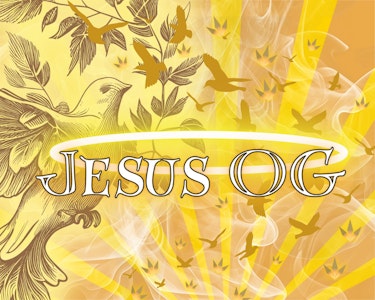 THE HEMPIRE COLLECTIVE - THC | Jesus OG 