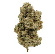 JETFUEL 3.5g Jetfuel Og Indica