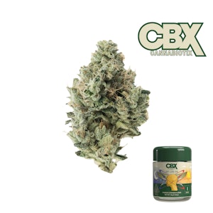 CANNABIOTIX - Jet Lag OG