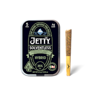 5pk - Governmint Oasis x Banana Bomb  - Solventless - 2.5g (H) Jetty