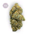 Product Preview Image 1