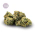 Product Preview Image 2