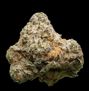 Jokerz Wild - buds
