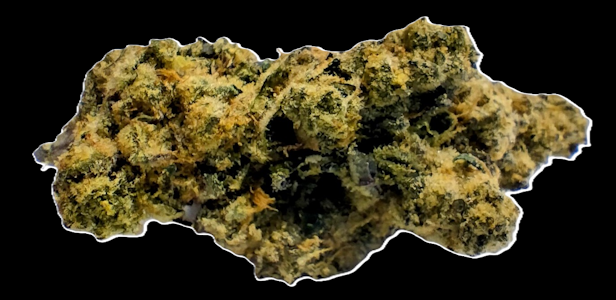 GOOD NATURE CANNABIS COMPANY - Juicee J - Flower