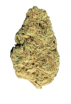ALTERNATIVE SOLUTIONS - Juicee J. 14g (Hybrid) - Half Oz by Alt Sol Main Image
