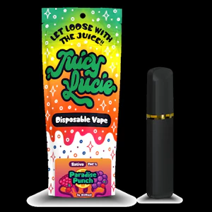 COMMON CITIZEN - Common Citizen - Juicy Lucie - Paradise Punch - Disposable - 1g