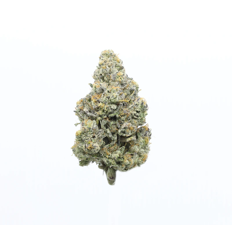 UpNorth - Jungle Juice - 3.5g (H) - UpNorth Main Image