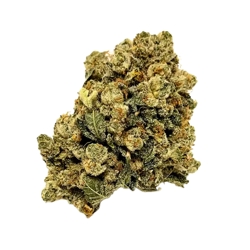 NATIVE CARE - NV Jungle WiFi | 3.5g Main Image