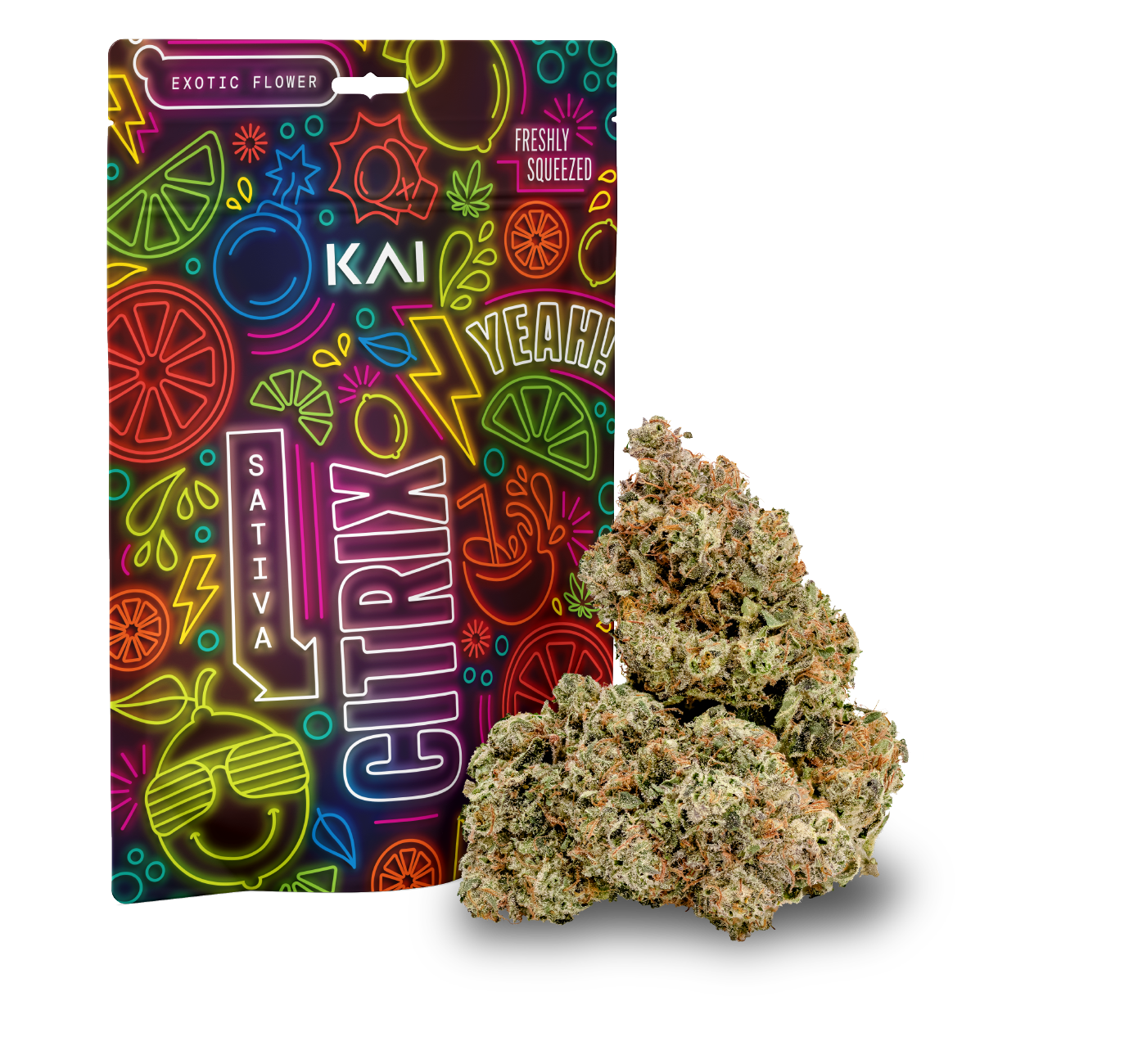 海花セール❣️ 琉球*海花のたね　琉球*プリザモス✴︎ラッキーセット Tropical Cookies: Fruity Edition (Hawaii Exclusive) | K.Minamoto