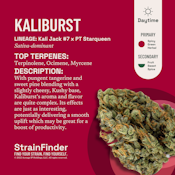 The Botanist | Kaliburst | 14G (Bigs) Hybrid