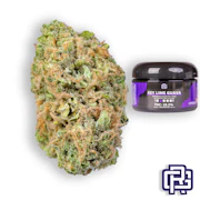 Key Lime Guava Flower | Quarter Special