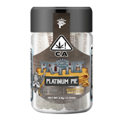 Platinum Pie (H) | .5g 7pk Cherubs Diamond Infused Prerolls | Prophet