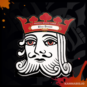 Kingroll - Infused Flower 7G - Blue Dream