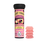 Strawberry Lemonade (Super Lemon Haze) (S) | Lost Farm Gummies 100mg |  Kiva