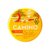 CAMINO - 1:1 CBD MANGO SERENITY 100MG - KIVA CONFECTIONS