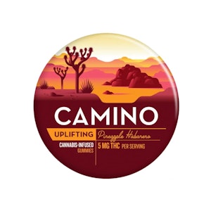 Kiva Confections - CAMINO - PINEAPPLE HABANERO 100MG - KIVA CONFECTIONS