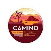 CAMINO - PINEAPPLE HABANERO 100MG - KIVA CONFECTIONS