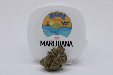 SQUARE GROUPER - SQUARE GROUPER - KIYOMI KUSH 3.5 GRAMS