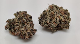 (D) Kapnos | Bubba Lime (H)