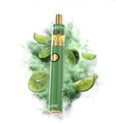 Key Lime Pie Disposable - 2g - DMC