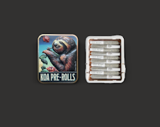 KOA - 10pk Infused Prerolls - Skywalker OG x Gelato 