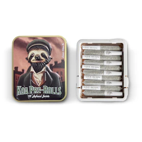Amnesia Haze | 10 Pack Infused Pre-Rolls | Koa Cannabis Co.