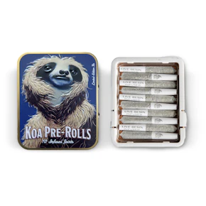 Bolo Runtz | 10 Pack Infused Pre-Rolls | Koa Cannabis Co.